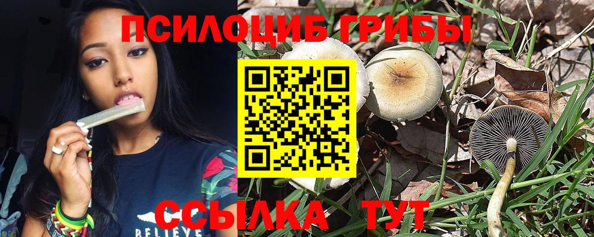 Галлюциногенные грибы Magic Shrooms Донецк