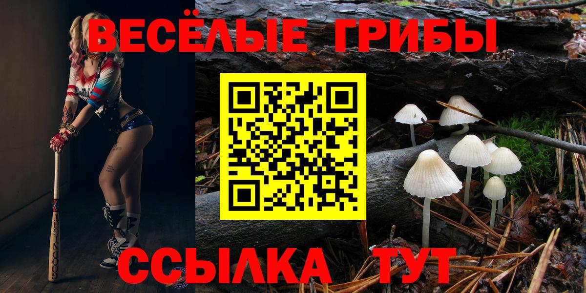 Галлюциногенные грибы Cubensis  Псилоцибиновые грибы GOLDEN TEACHER  Вход с VPN  Донецк 